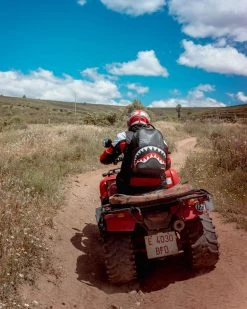 SPRAYGROUND® SHARK CENTRAL (BLACK) (DLXV)