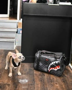 SPRAYGROUND® BAGS 3AM PET CARRIER