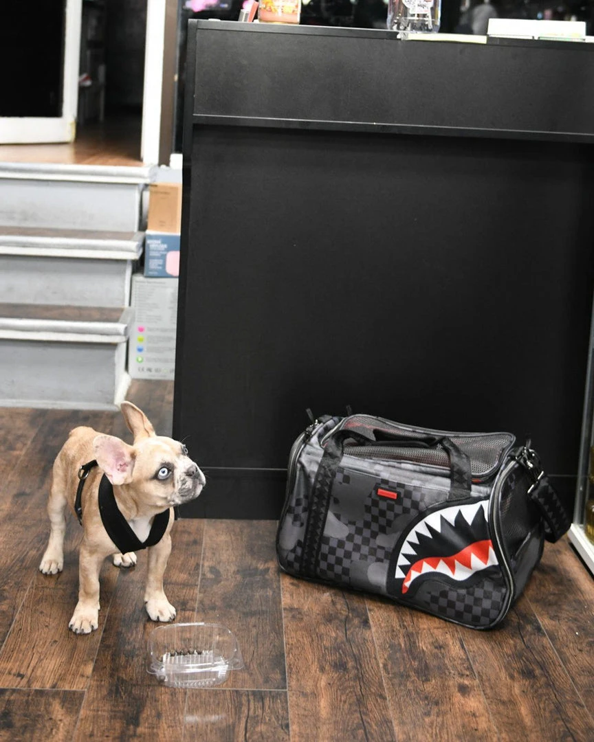 SPRAYGROUND® BAGS 3AM PET CARRIER 2 SPRAYGROUND® BAGS 3AM PET CARRIER