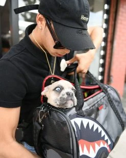 SPRAYGROUND® BAGS 3AM PET CARRIER 28 SPRAYGROUND® BAGS 3AM PET CARRIER